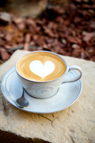  Cappuccino